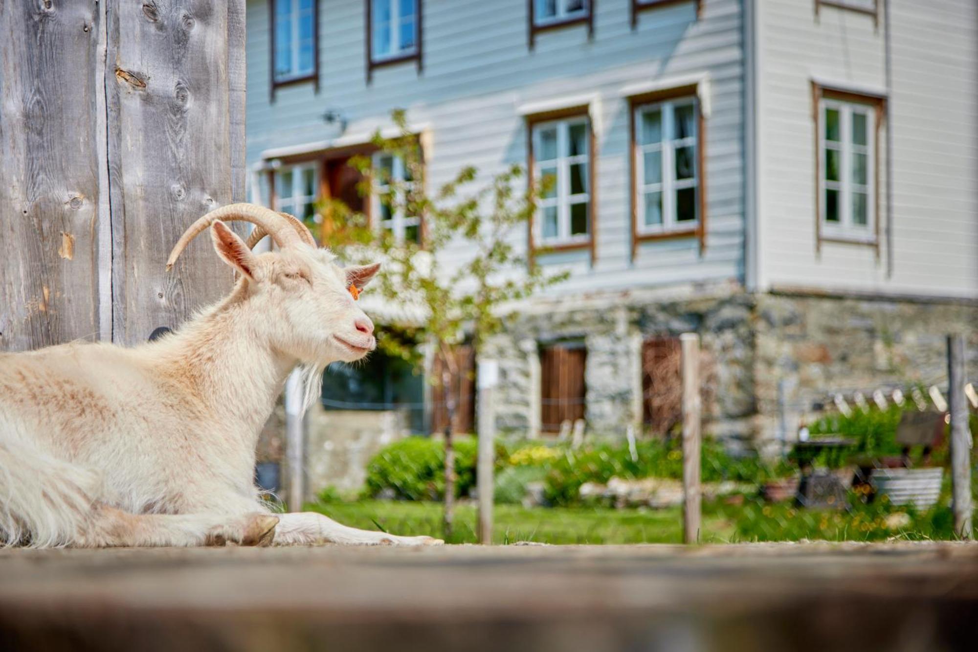 Overvoll Farm Stranda  Bagian luar foto