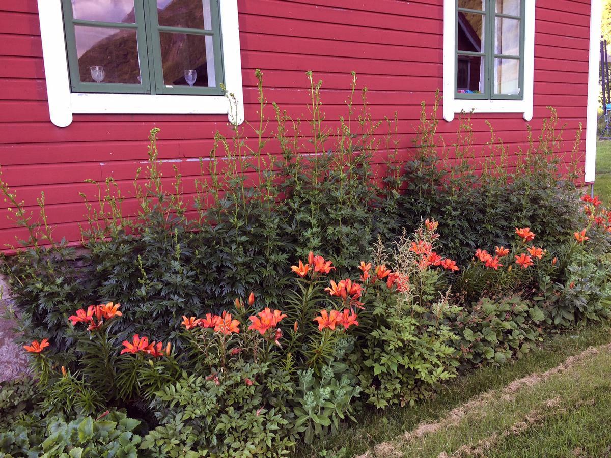 Overvoll Farm Stranda  Bagian luar foto